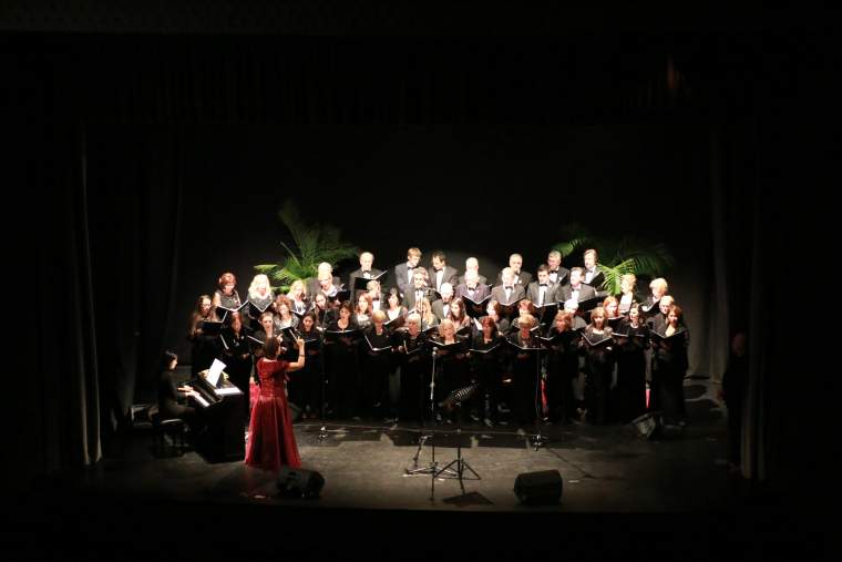 ARMONIE DI VITA - Teatro ANTONIANO - BOLOGNA (BO) - 3/12/2013